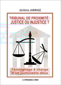Tribunal de proximité : justice ou injustice ? Témoignage à charge d'un justiciable déçu