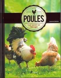 Poules, tout savoir sur l elevage