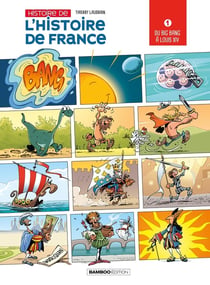 Histoire de l'histoire de France Tome 1 : Du big bang à Louis XIV