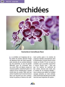Les orchidées