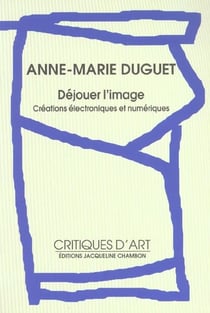 DEJOUER L'IMAGE