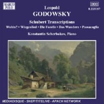 Schubert Transcriptions