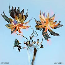 Lost voices
