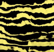 Restless shapes