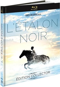 L'Etalon noir