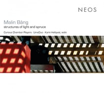 Structures of light and spruce