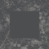 Poisoned Soil