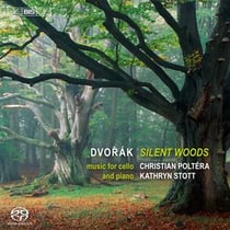 Silent woods