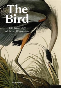 The bird the great age of avian illustration