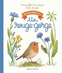 Dans mon jardin il y a... : Un rouge-gorge