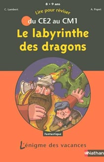 L'ENIGME DES VACANCES PRIMAIRE Tome 8 : le labyrinthe des dragons - du CE2 au CM1
