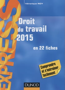 Droit du travail 2015 - en 22 fiches (19e édition)