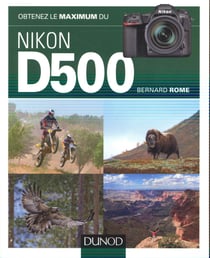 Obtenez le maximum : du Nikon D500