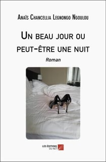 Un beau jour ou peut-etre une nuit - roman