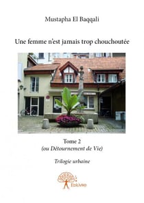 Une femme n'est jamais trop chouchoutée t.2 - (ou détournement de vie) - trilogie urbaine