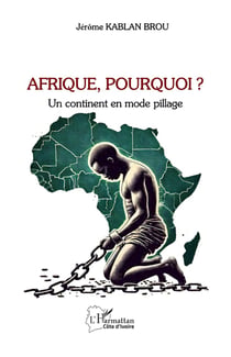 Afrique, pourquoi? Un continent en mode pillage