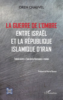La guerre de l'ombre entre Israël et la République islamique de l'Iran - tsahal contre "l'axe de la résistance" iranien