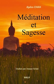 Méditation et sagesse (3e édition)