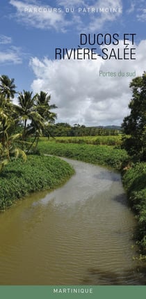 Ducos et Rivière-Salée : Portes du sud