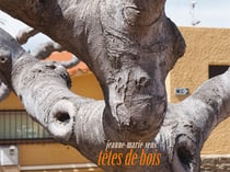 Tête de bois