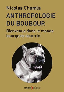 PETITE ANTHROPOLOGIE DU BOUBOUR : ETES-VOUS BOURGEOIS-BOURRIN