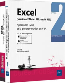 Excel (versions 2024 et Microsoft 365) : Apprendre Excel et la programmation en VBA