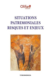 Situations patrimoniales - risques et enjeux