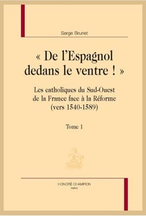 « de l'Espagnol dedans le ventre ! » les catholiques du sud-ouest de la France face à la Réforme (vers 1540-1589)