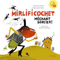 Mirlificochet - méchant sorcier !