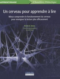 Un cerveau pour apprendre à lire - mieux comprendre le fonctionnement du cerveau pour enseigner la lecture plus efficacement