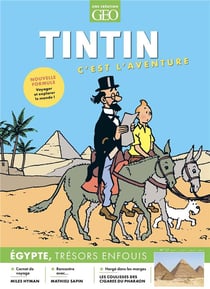 Tintin, c'est l'aventure n.17 : Égypte, trésors enfouis