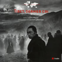 Tibet, dernier cri ! chronique d'un voyage au pays des neiges