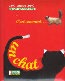 Un chat