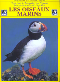 Les oiseaux marins - reserve naturelle des sept-iles