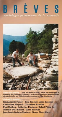 Revue brèves n.112 : pousse caillou