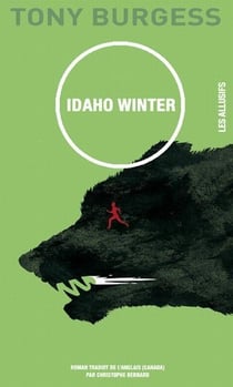 Idaho winter