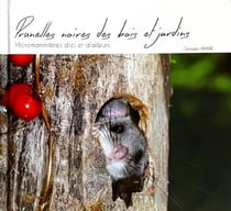Prunelles noires des bois et jardins- micromammifères d'ici et d'ailleurs