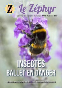 Le Zéphyr n°16 - Insectes : ballet en danger : Le Zéphyr n°16 - Insectes : ballet en danger