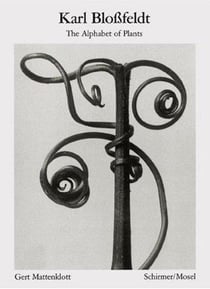 Karl blossfeldt alphabet der pflanzen /allemand