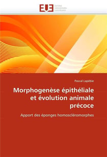 Morphogenese epitheliale et evolution animale precoce