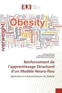 Renforcement de l'apprentissage structurel d'un modele neuro-flou - application a la reconnaissance