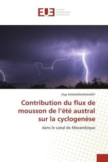 Contribution du flux de mousson de l'été austral sur la cyclogenèse : dans le canal de Mozambique