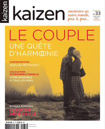 KAIZEN n.33