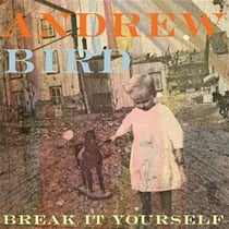 Break it yourself - édition limitée