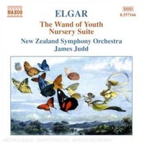 The Wand Of Youth