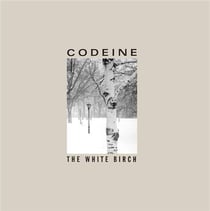 The white birch