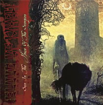 Sun in the house of the scorpion