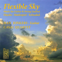Flexible sky, musique pour guitare et quatuor à cordes