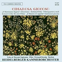 Sinfonia/Konzert