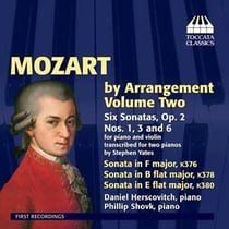 Mozart by arrangement /vol.2